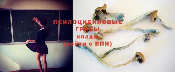 спиды Вязники