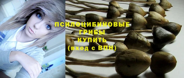 спиды Вязники