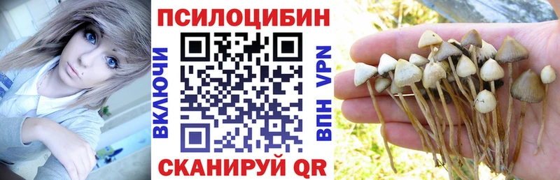 Галлюциногенные грибы Psilocybe  Купить  Руза 